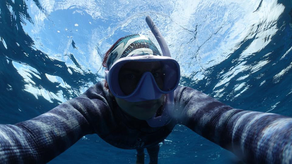 Whale Sharks