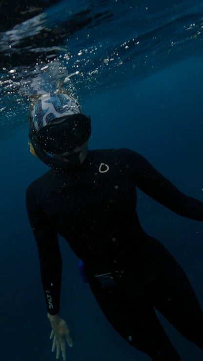 Whale Sharks