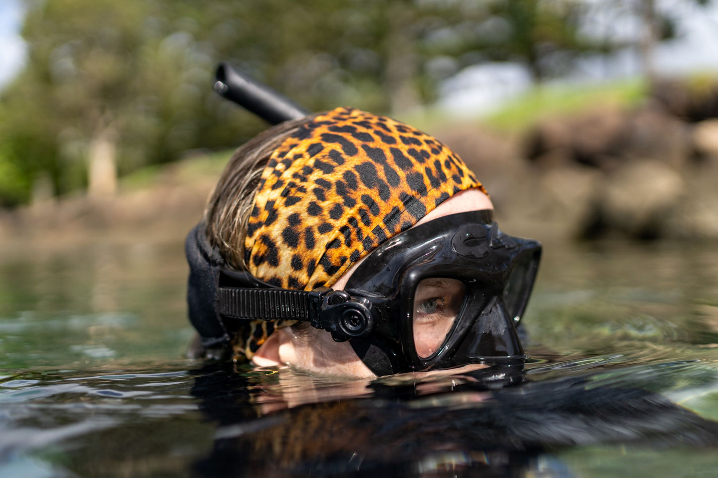 Leopard Shark