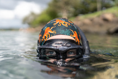 Octopus on Seaweed